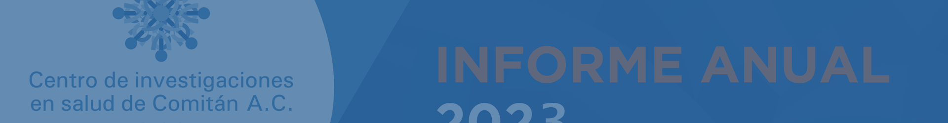 Informe anual de actividades – 2022